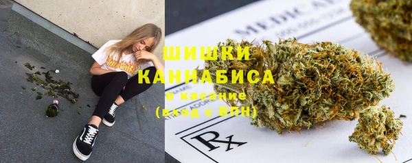 spice Богданович