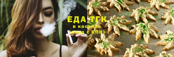 spice Богданович