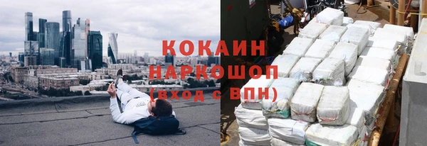 spice Богданович