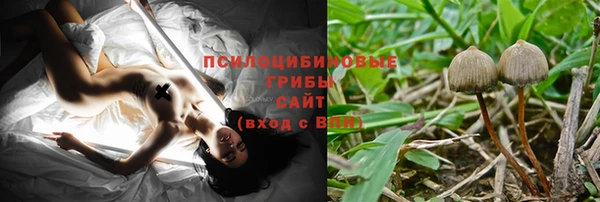 ешки Богородицк