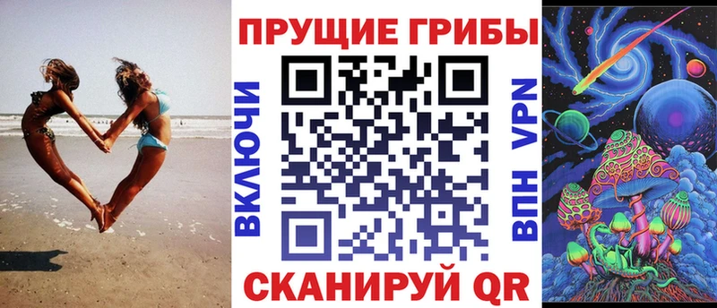 Псилоцибиновые грибы Cubensis  Бутурлиновка 